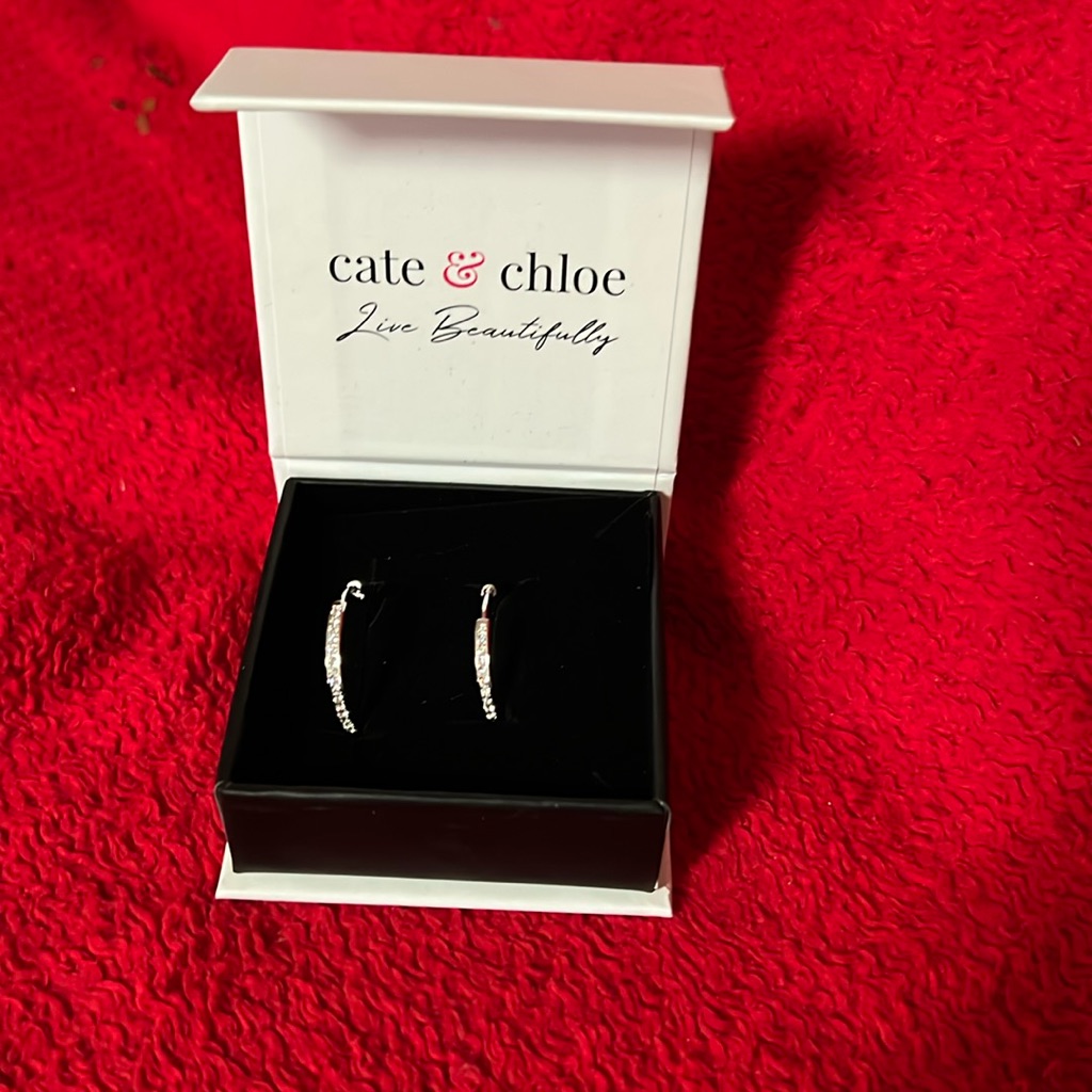 Cate & Chloe Bianca 18k White Gold Drop Dangle Hoop Earrings With Gift Box New